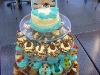 Dion's 1st birthday cupcakes