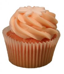 Sugadeaux pink champagnecupcake