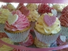 cupcake-bakery-american-candy-stand-cupcakes3.jpg