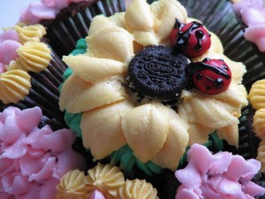 cupcake bouquet-sugarcrushmiami-ladybugs